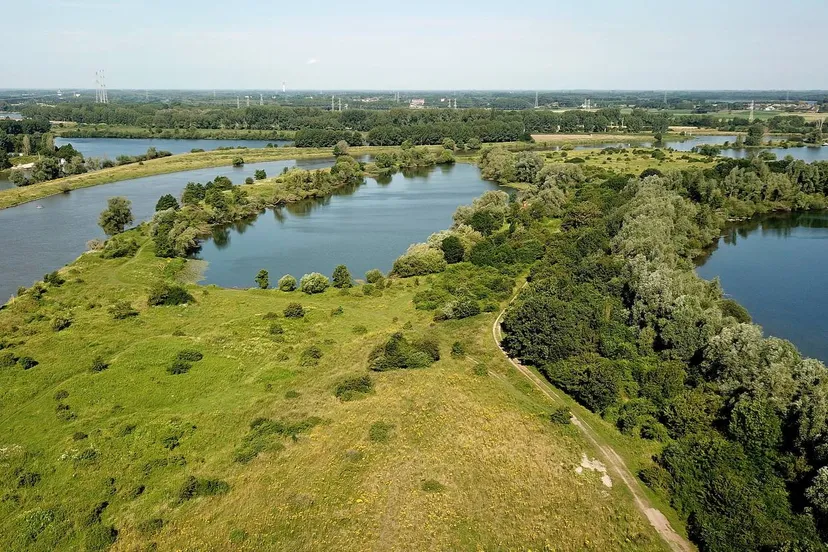 isabellegreend harrybussink