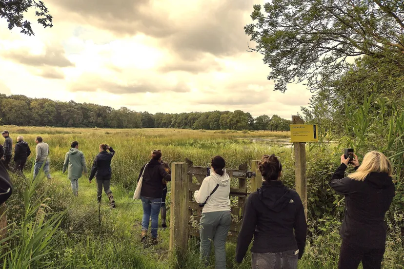 foto persbericht wildlifenl