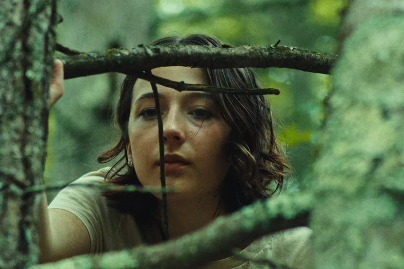 good one st 6 sd low