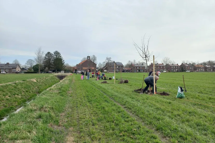 foto limburg mooier groen 2025