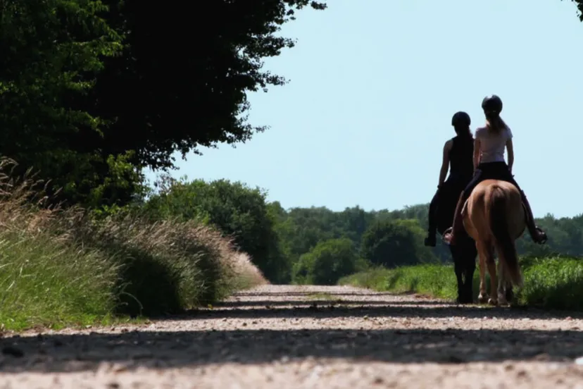 paardenkracht L1 recreatief rijden uitzending 31-8 en 14-9 ©PaardrijdenLimburg