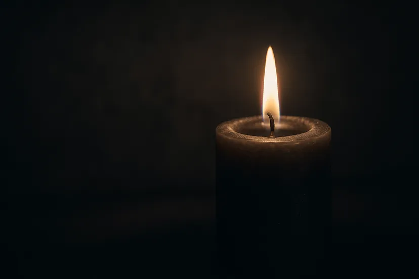 ddd4e265-e1f1-4a67-b9ee-8f37357f4ed7