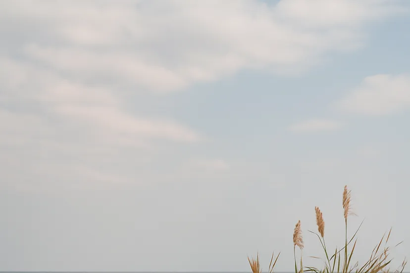 0694445c-7bab-4212-8020-394055cdf0fa