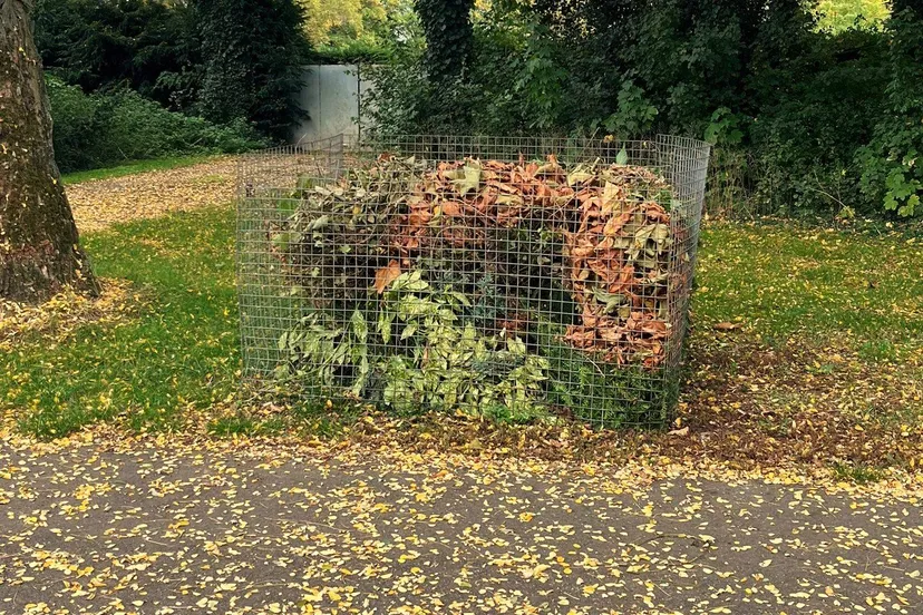 559946136_1130966612549677_7084439640808774321_n