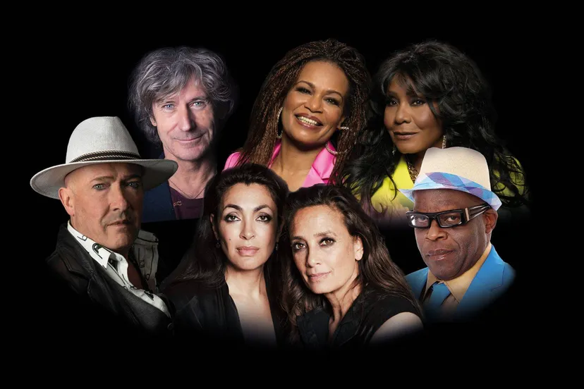 Nacht-van-de-Nederpop