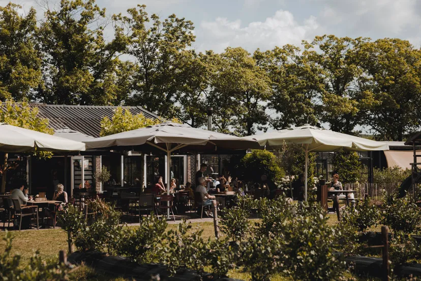 ©HartvanLimburg Plantage Blankwater Terras