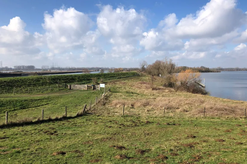 20260426 isabellagreend