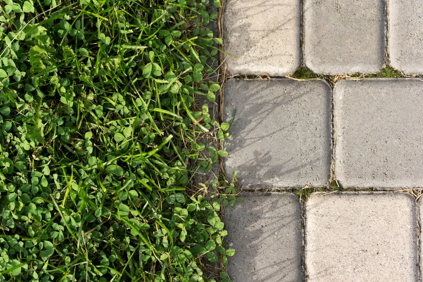 contrasting-outdoor-textures