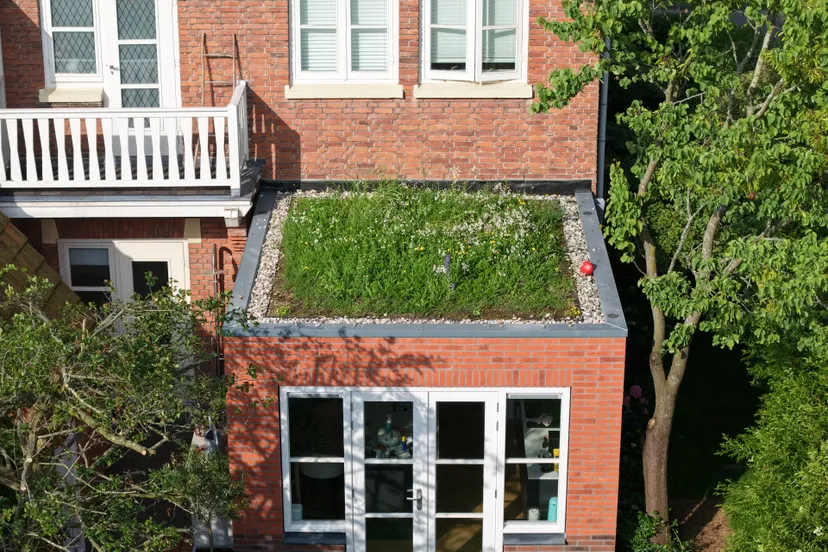 huis met bloemenweide dak