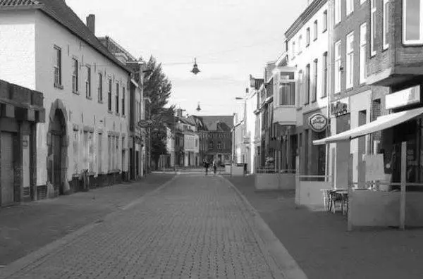 Veldsjtraot-Revival