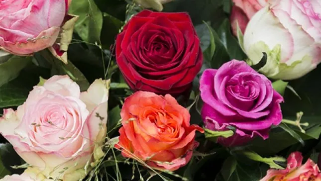 150416 secretaressedag rozen wilde wingerd e1429195919737