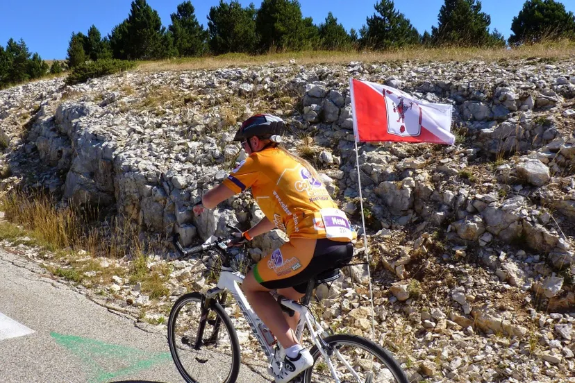 150420 colsensation 2014 sandra van beers e1429658772901