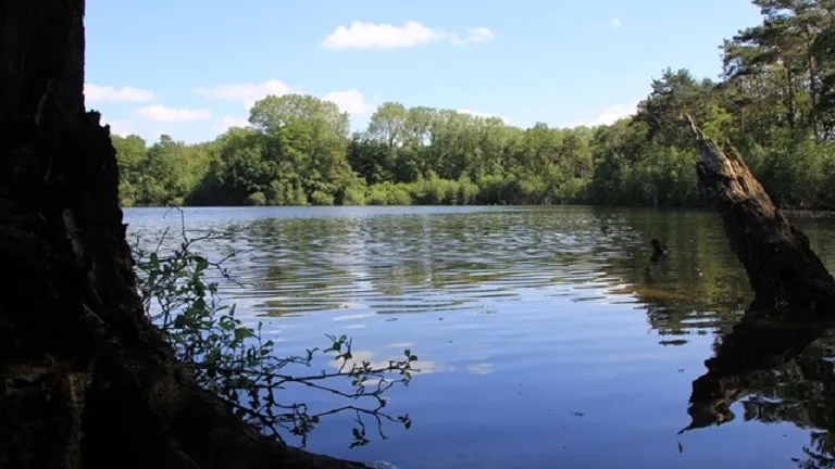 150420 zanderijen fotograaf erik de jonge e1429538562534