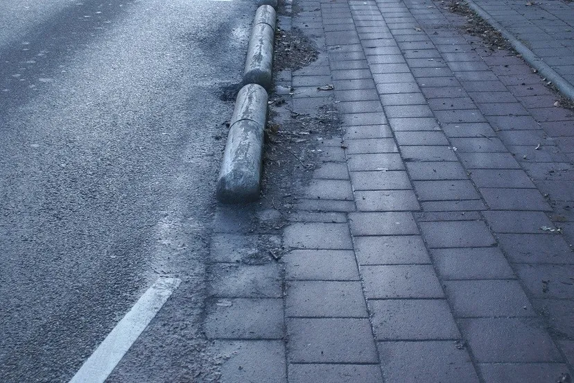 150421 varkensrug e1429615991958