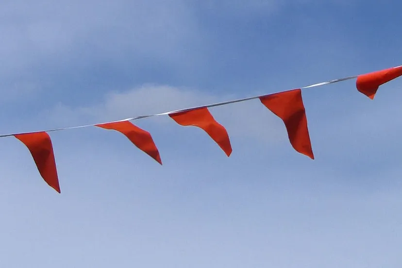 150424 lucht met oranje vlaggetjes frenkieb by 20 e1429881395922