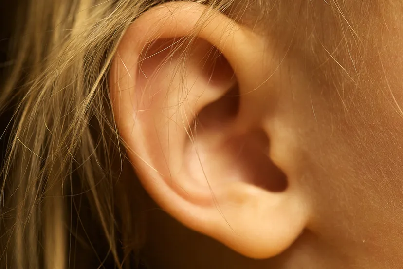 150425 oor afgebeten flickr travis isaacs by sa 20 e1430211372733