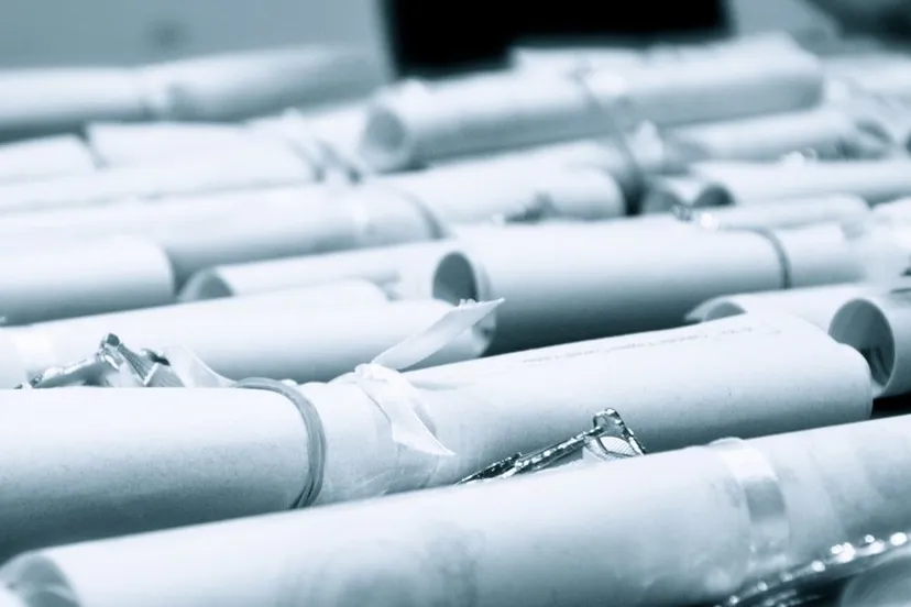 150611 geslaagd sergio rivas cc by nc nd 20 e1434053044401