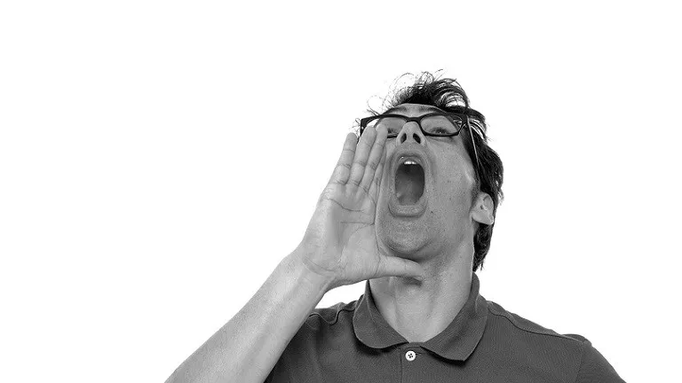 150622 schreeuwen sebastiaan ter burg flickr cc by 20 e1434967518263