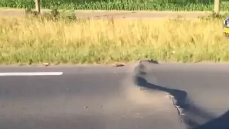 150702 wegdek roosendaal essen e1435849227965