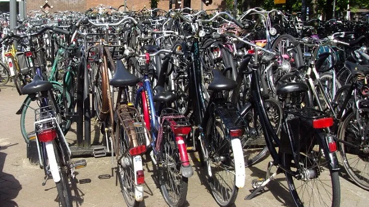 150725 fietsen e1437783731177