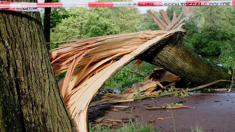 150727 stormschade amsterdam 25 juli 2015 guda g flickr cc by 20 e1438027001450