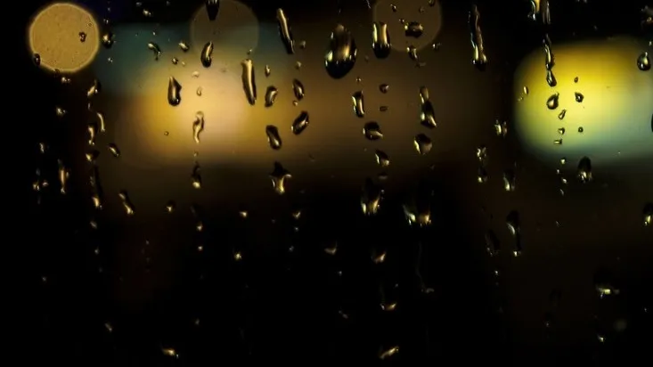 150807 regen timon frst flickr cc by nd 20 e1438948373911