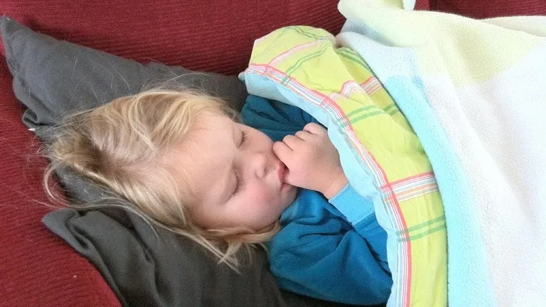 150810 mantelzorg joris leermakers flickr cc by sa 20 e1439161322415