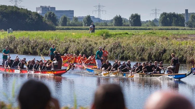 150831 drakenbootrace koen mol e1441020779487