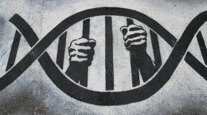 150908 tralies gevangene thierry ehrmann flickr cc by 20 e1441720980413