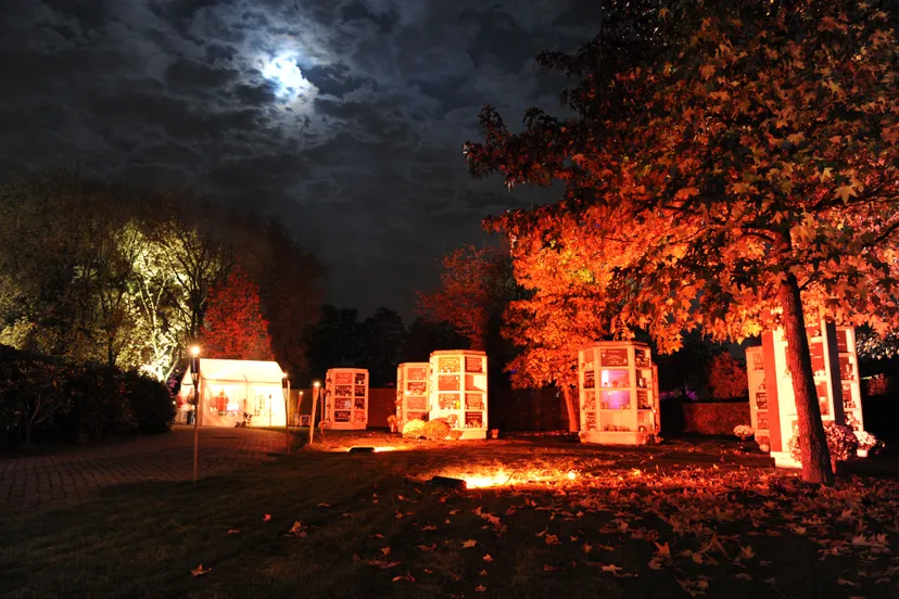 2014 11 01 allerzielen zegestede 85