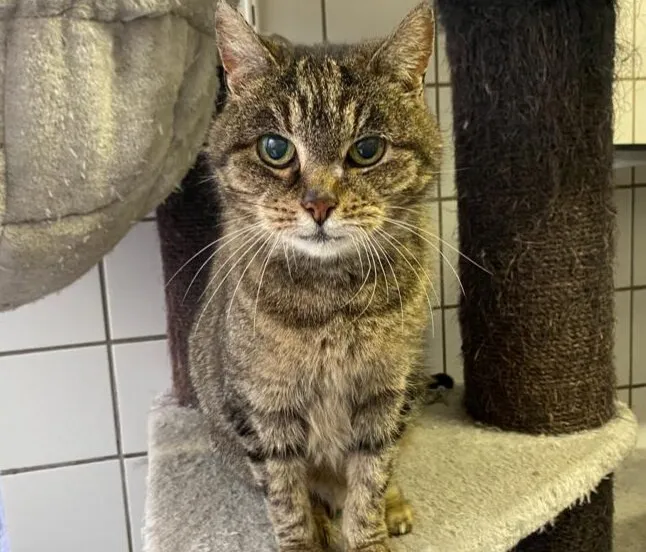 20221130 205642 e1671214965581