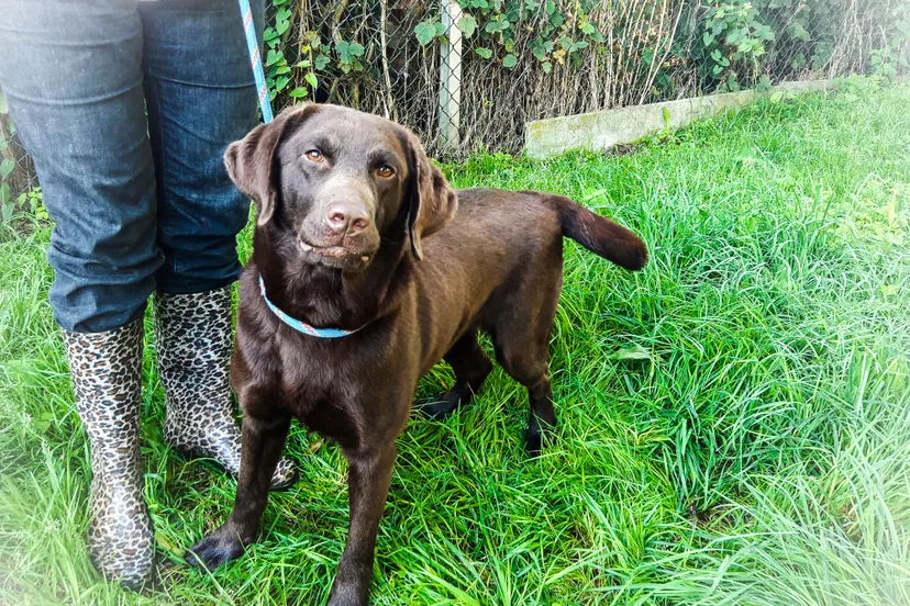 20230810 112327 2jpg klein