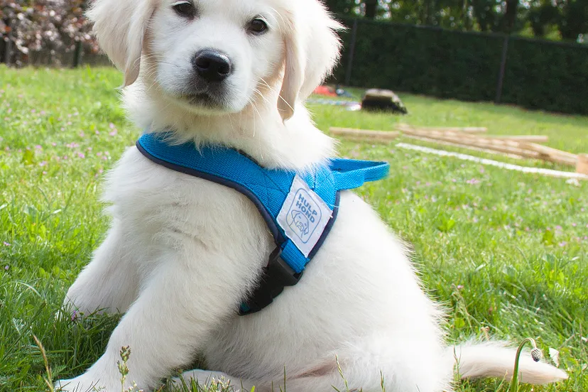 3187 9eea7801e7dcad46f343bc08d3e2ee9c