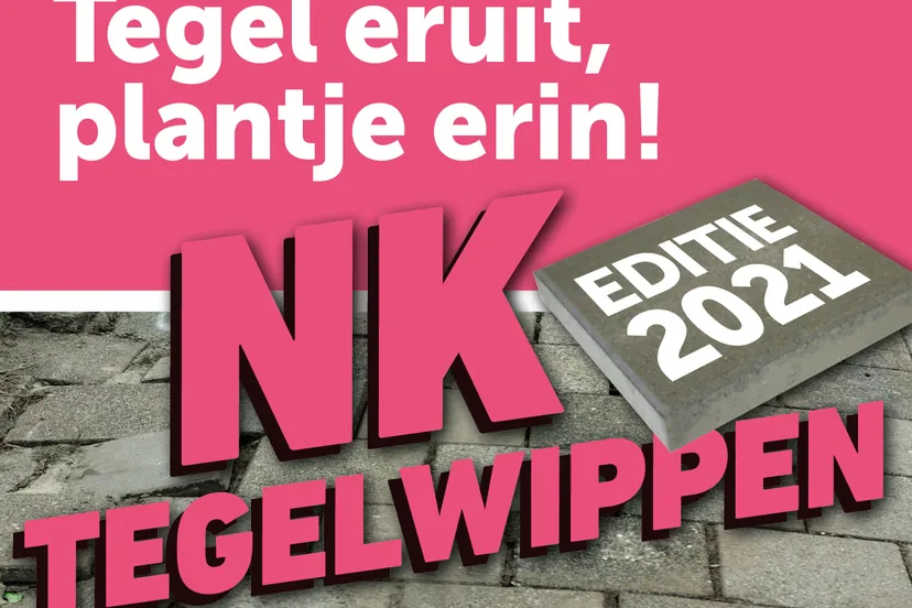 3630 nk tegelwippen socials