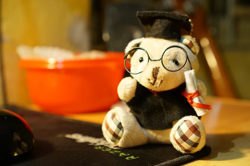 bachelor bear teddy bear 205942