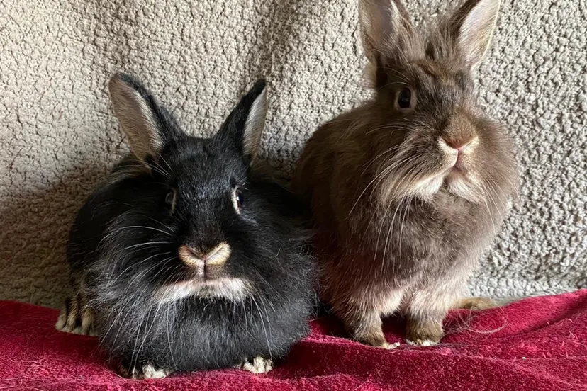 bailey en bubbles11 3