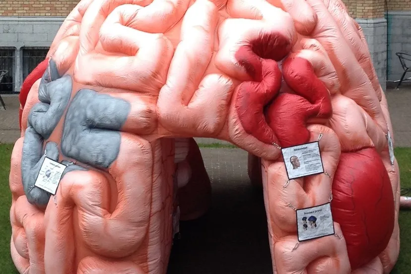 beeld megabrein in de bibliotheek in roosendaal