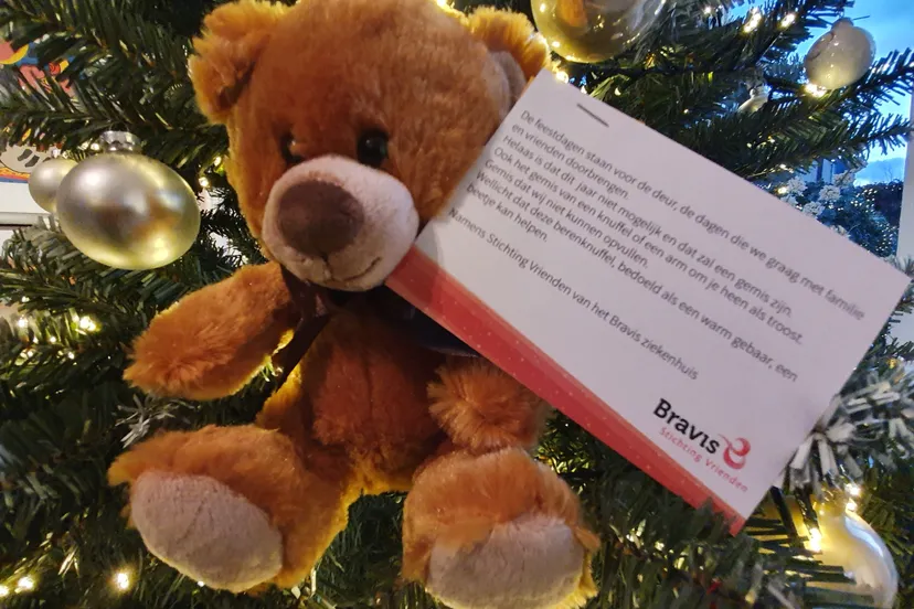 beertje in boom e1608806608675