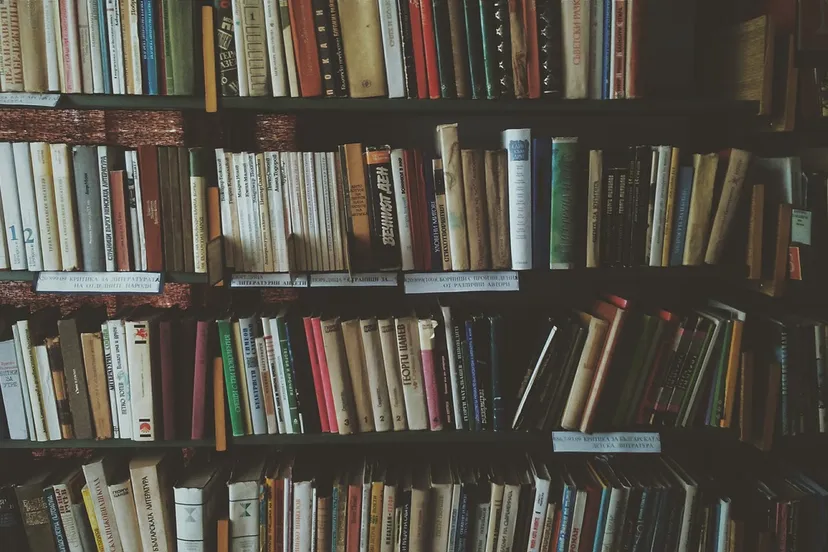 bookcase 1869616 1280