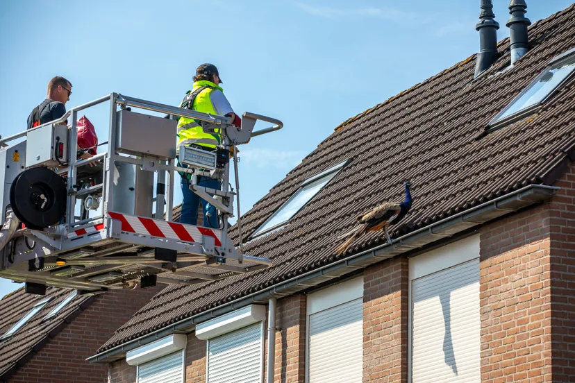 christian traets 20220825115147 3 1