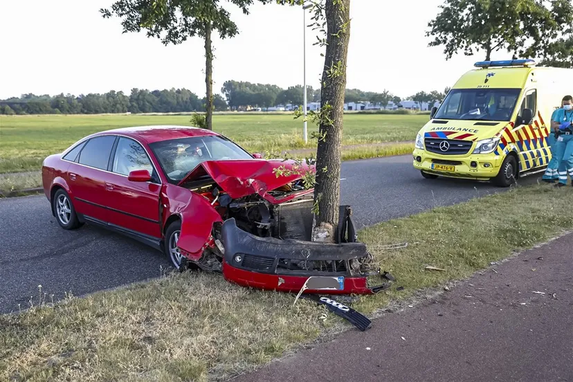 download scaled 1000x1000 48607