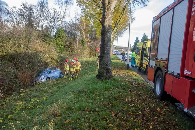 download scaled 1000x1000 67940