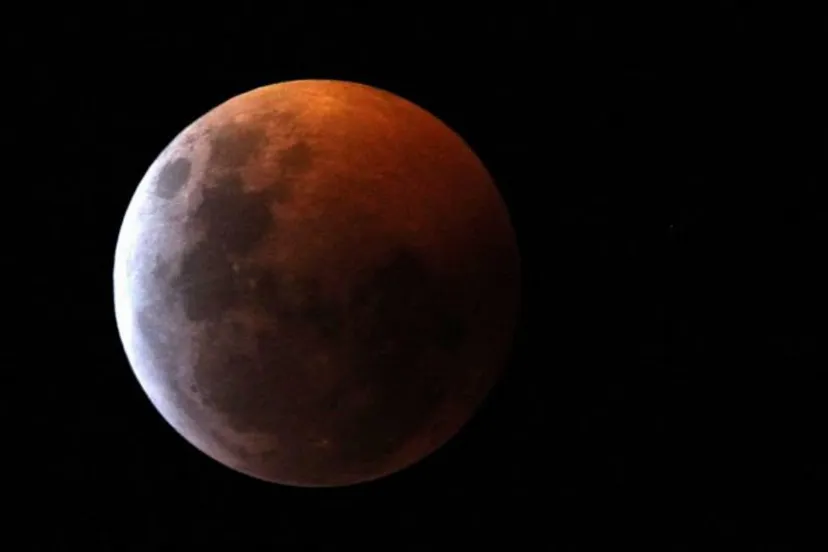 enthousiasme over bloedmaan 715x408