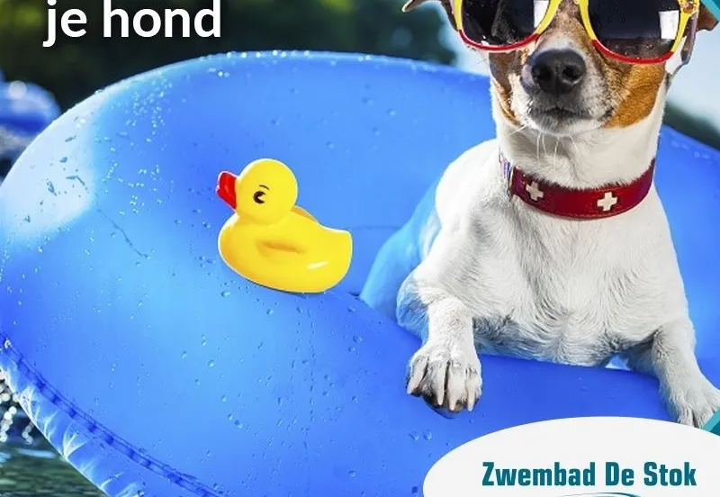 hondenzwemmen 2017