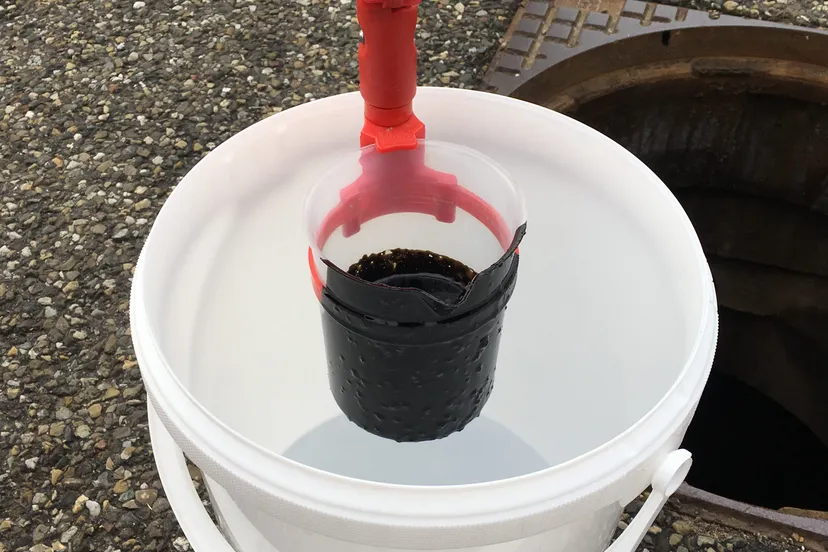 img 0668 e1552572248237