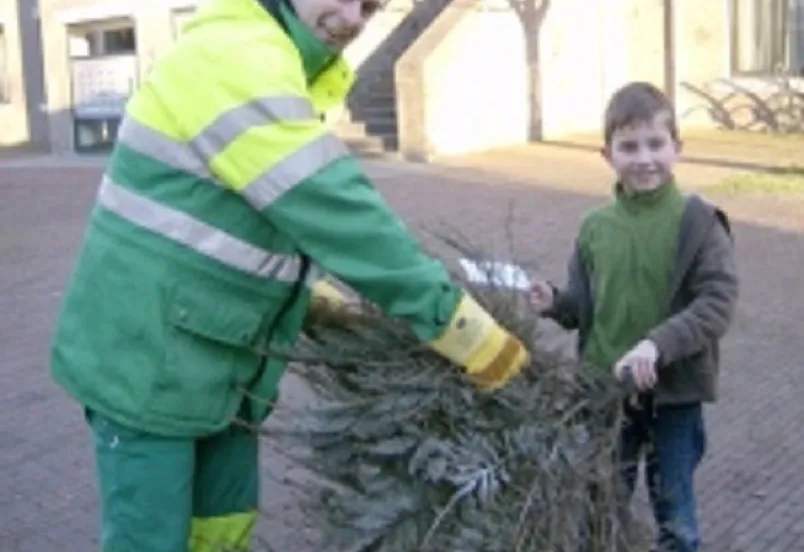 inzameling kerstbomen schoon
