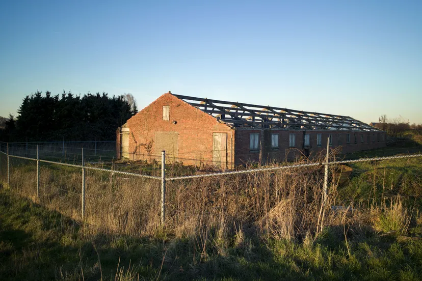 lege stallen in brabant