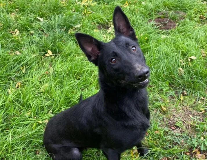 lisa3 11 e1668775278262