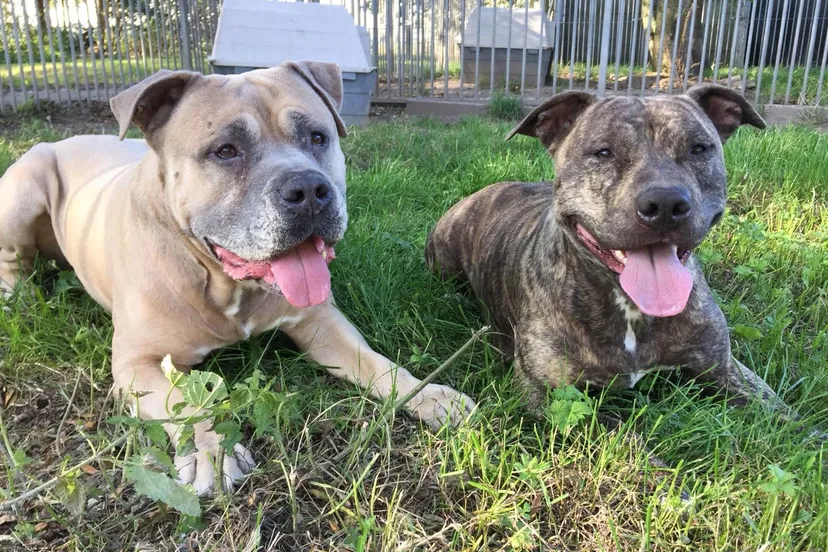 lunarocco 28 9 e1538733297980