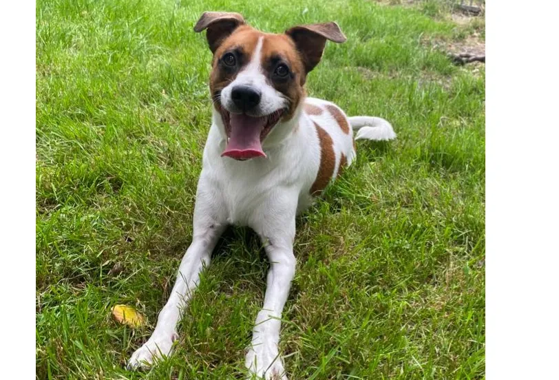 naamloos e1659683541226